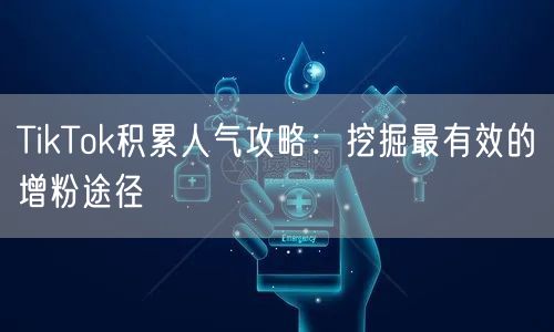 TikTok积累人气攻略：挖掘最有效的增粉途径