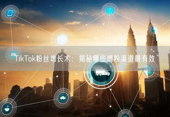 TikTok粉丝增长术：揭秘哪些增粉渠道最有效