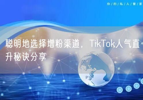 聪明地选择增粉渠道，TikTok人气直升秘诀分享