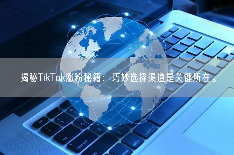 揭秘TikTok涨粉秘籍：巧妙选择渠道是关键所在。
