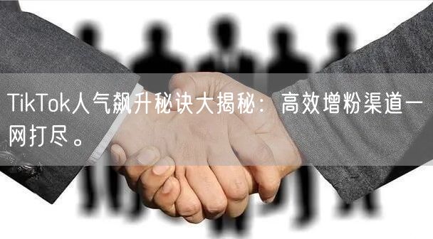 TikTok人气飙升秘诀大揭秘：高效增粉渠道一网打尽。
