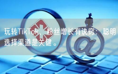 玩转TikTok，粉丝增长有诀窍：聪明选择渠道是关键。