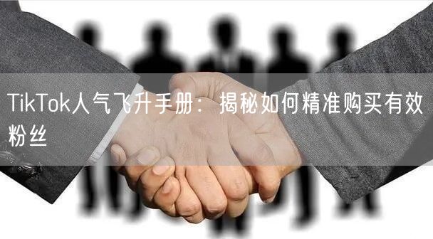 TikTok人气飞升手册：揭秘如何精准购买有效粉丝