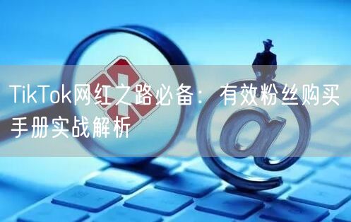 TikTok网红之路必备：有效粉丝购买手册实战解析