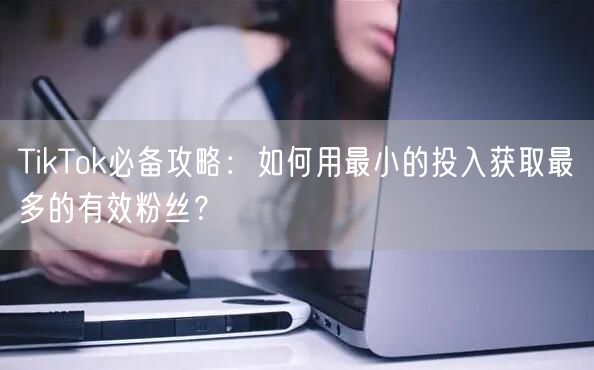 TikTok必备攻略：如何用最小的投入获取最多的有效粉丝？