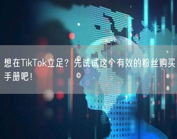 想在TikTok立足？先试试这个有效的粉丝购买手册吧！