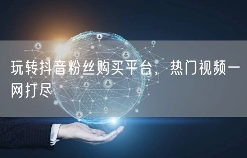 玩转抖音粉丝购买平台，热门视频一网打尽