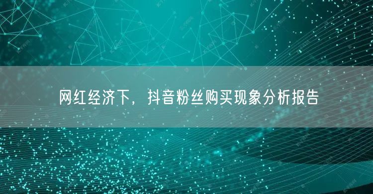网红经济下，抖音粉丝购买现象分析报告