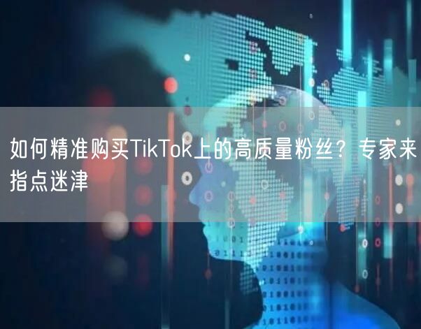 如何精准购买TikTok上的高质量粉丝？专家来指点迷津