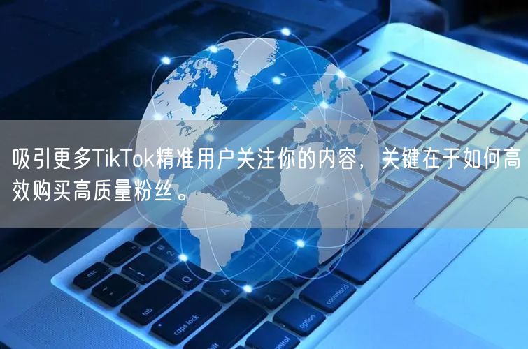 吸引更多TikTok精准用户关注你的内容，关键在于如何高效购买高质量粉丝。