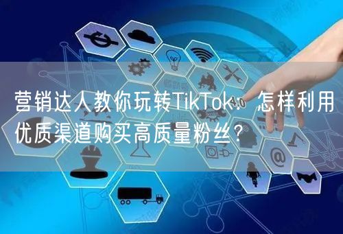 营销达人教你玩转TikTok：怎样利用优质渠道购买高质量粉丝？