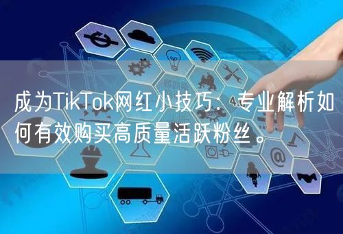 成为TikTok网红小技巧：专业解析如何有效购买高质量活跃粉丝。