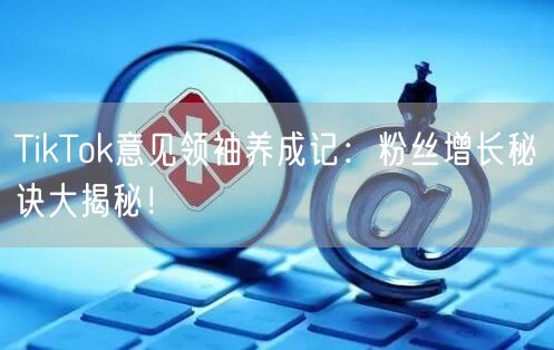 TikTok意见领袖养成记：粉丝增长秘诀大揭秘！