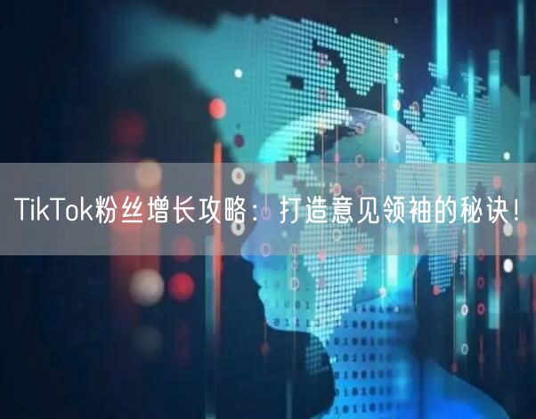 TikTok粉丝增长攻略：打造意见领袖的秘诀！