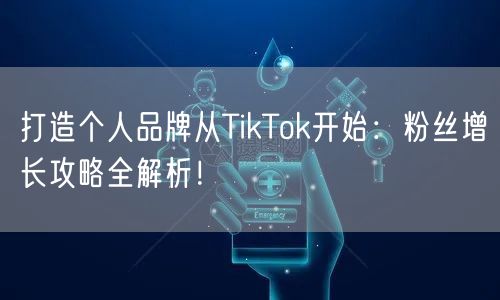 打造个人品牌从TikTok开始：粉丝增长攻略全解析！