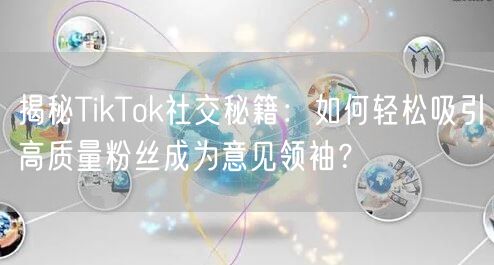 揭秘TikTok社交秘籍：如何轻松吸引高质量粉丝成为意见领袖？