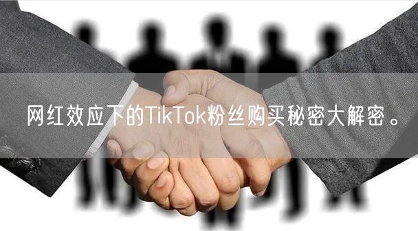 网红效应下的TikTok粉丝购买秘密大解密。