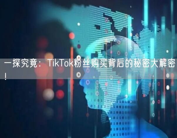 一探究竟：TikTok粉丝购买背后的秘密大解密！