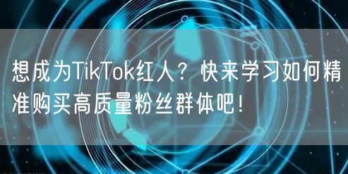 想成为TikTok红人？快来学习如何精准购买高质量粉丝群体吧！