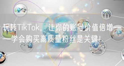 玩转TikTok，让你的账号价值倍增——学会购买高质量粉丝是关键！