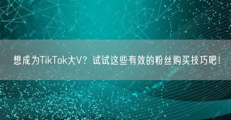 想成为TikTok大V？试试这些有效的粉丝购买技巧吧！