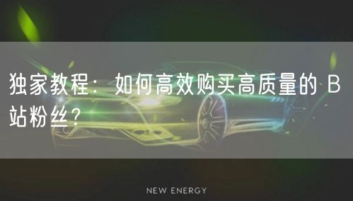 独家教程：如何高效购买高质量的 B 站粉丝？