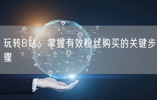 玩转B站：掌握有效粉丝购买的关键步骤