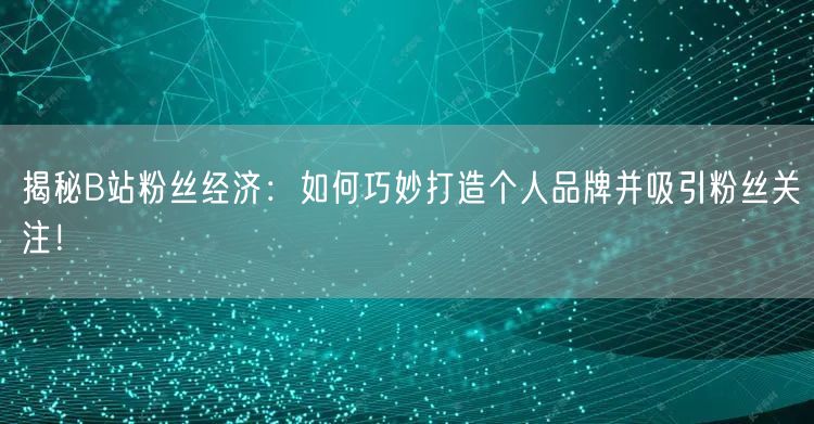 揭秘B站粉丝经济：如何巧妙打造个人品牌并吸引粉丝关注！