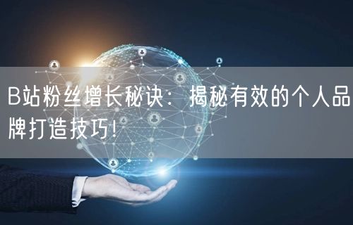 B站粉丝增长秘诀：揭秘有效的个人品牌打造技巧！