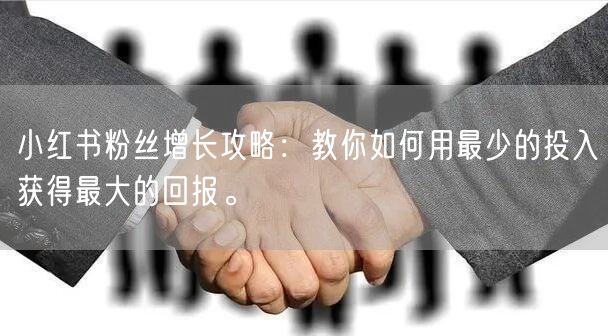 小红书粉丝增长攻略：教你如何用最少的投入获得最大的回报。