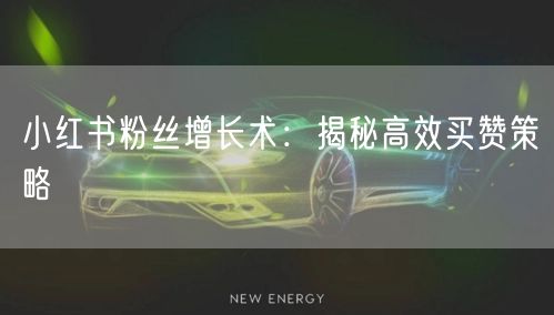 小红书粉丝增长术：揭秘高效买赞策略