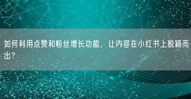 如何利用点赞和粉丝增长功能，让内容在小红书上脱颖而出？