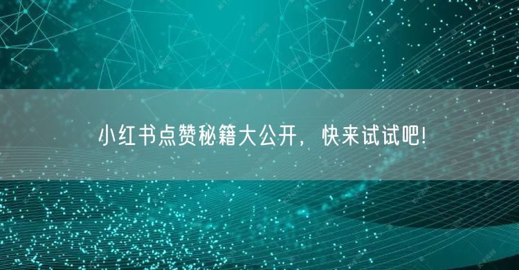 小红书点赞秘籍大公开，快来试试吧!