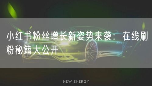 小红书粉丝增长新姿势来袭：在线刷粉秘籍大公开