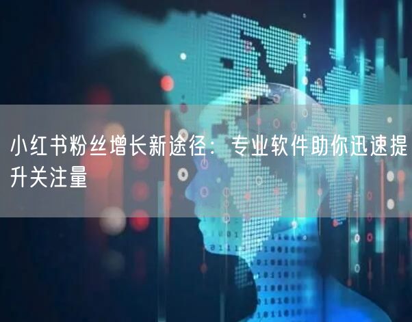 小红书粉丝增长新途径：专业软件助你迅速提升关注量