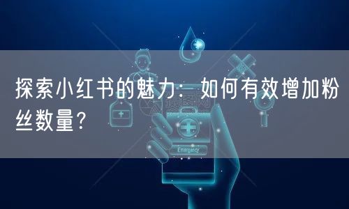 探索小红书的魅力：如何有效增加粉丝数量？