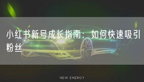 小红书新号成长指南：如何快速吸引粉丝