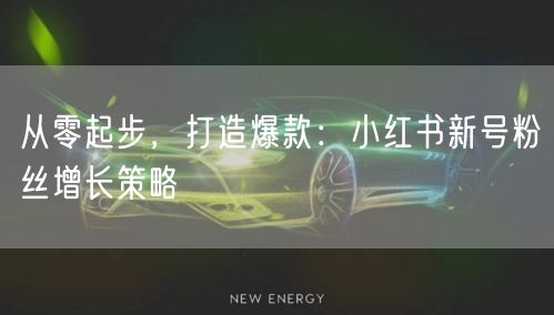 从零起步，打造爆款：小红书新号粉丝增长策略