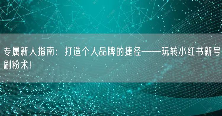 专属新人指南：打造个人品牌的捷径——玩转小红书新号刷粉术！