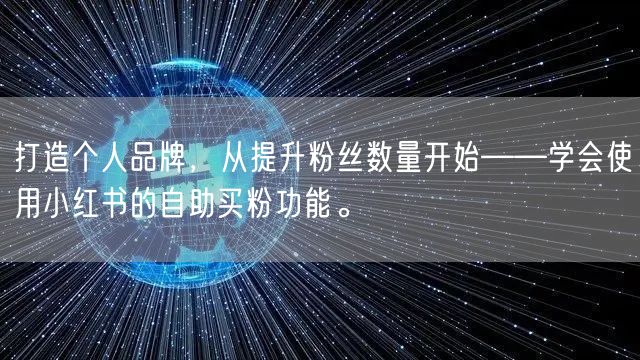 打造个人品牌，从提升粉丝数量开始——学会使用小红书的自助买粉功能。