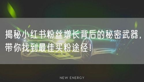 揭秘小红书粉丝增长背后的秘密武器，带你找到最佳买粉途径！
